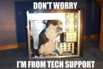 tech_support_cat11_thumbnail.jpg