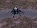 Spider_Lord.jpg