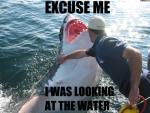 funny-lol-meme-shark-text-Favim.com-330908.jpg