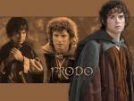 frodo2.jpg