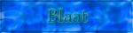 BlaatBanner2.png