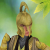 High Elf Noldor's Photo