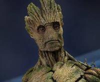 Groot's Photo