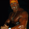 Hulkster's Photo